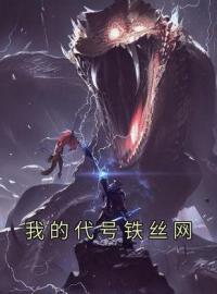 《我的代号铁丝网》刘长川王奎小说全本在线阅读