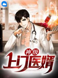 神级上门医婿完整版全文阅读 杨北沈红颜小说 大结局