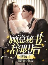 《顾总秘书辞职后，他疯了》叶星辞顾凛寒小说全文免费试读