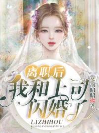 离职后我和上司闪婚了(时倾薄靳衍)全文完结在线阅读完整版