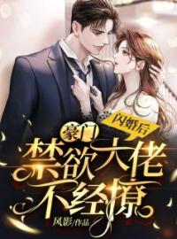 《闪婚后，豪门禁欲大佬不经撩》徐蓁沈凌风全文阅读