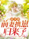 帝少你前妻携崽归来了