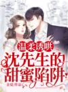 温柔诱哄：沈先生的甜蜜陷阱