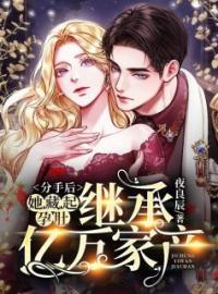 分手后，她藏起孕肚继承亿万家产叶芷萌厉行渊免费在线全文阅读