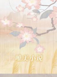叶晚慕寒宸小说阅读_叶晚慕寒宸小说《顾少携宝追妻惊艳全城》