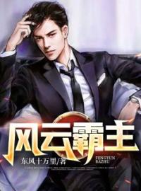 风云霸主小说全文精彩章节在线阅读（叶弃徐玲）