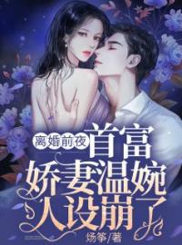 离婚前夜，首富娇妻温婉人设崩了姜琼穆沉玺全文在线免费试读