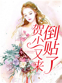 贺少又来倒贴了宁知贺瑾舟小说精彩章节在线阅读