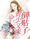 贺少又来倒贴了