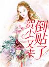 贺少又来倒贴了