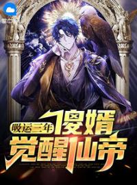 吸运三年，傻婿觉醒仙帝小说最新章节免费试读（完整版未删节）