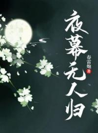 夜幕无人归小说完整版在线阅读（主角秦楠溪司绍舟）