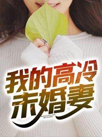 《我的高冷未婚妻》小说完整版在线阅读（主角许木夏雨晴）