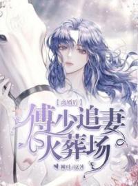 离婚后，傅少追妻火葬场全本资源 苏晚轻傅夜琛完整未删减版