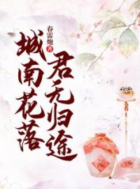 城南花落，君无归途宋漓叶岐扬小说_城南花落，君无归途小说章节