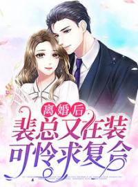 《离婚后，裴总又在装可怜求复合》穆婉清裴司臣小说精彩内容在线阅读