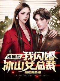出狱后我闪婚冰山女总裁萧叶丁静小说全部章节目录