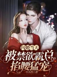 闪婚当天，被禁欲霸总掐腰猛宠叶蔓江嗣尘小说精彩章节在线阅读