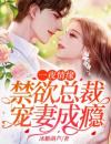 一夜情缘：禁欲总裁宠妻成瘾