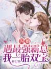 闪婚：遇最强霸总，我一胎双宝