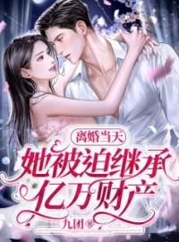 离婚当天，她被迫继承亿万财产完整版全文阅读 沈心之陆逍泽小说 大结局