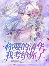 《你要的清华我考给你了》宋清北迟晓慧小说精彩章节在线阅读