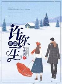 《谁能许你一生》小说最新章节免费试读（完整版未删节）