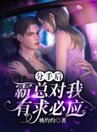 分手后，霸总对我有求必应全章节免费在线阅读 夏绯司辰小说完结版