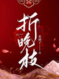 折晚枝陆晚李翊小说阅读_折晚枝文本在线阅读