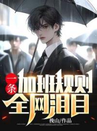 李安南鲁渔小说叫什么_一条加班规则，全网泪目小说