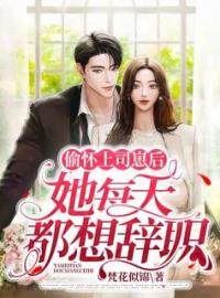 《偷怀上司崽后,她辞职了》江笙厉廷衍小说精彩章节在线阅读