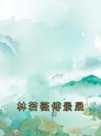 林若薇傅景晟林若薇傅景晟小说阅读_林若薇傅景晟文本在线阅读