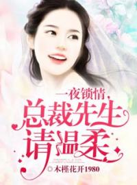 一夜锁情，总裁先生请温柔完整小说目录在线阅读 (苏青关暮深) 大结局无弹窗