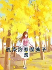 迟来的深情她不屑江若傅言安目录_迟来的深情她不屑小说阅读