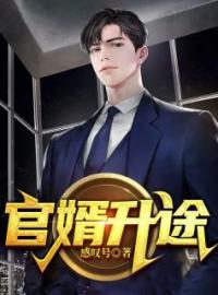 官婿升途全章节免费试读 主角林易高璐完结版