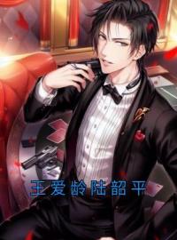 王爱龄陆韶平王沐泽王爱龄小说结局完整全文