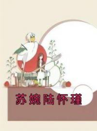 主角叫苏婉陆怀瑾的小说是什么 苏婉陆怀瑾全文免费阅读