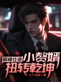 巅峰仕途:小赘婿扭转乾坤！小说全集免费在线阅读（赵明俊孟白兰）