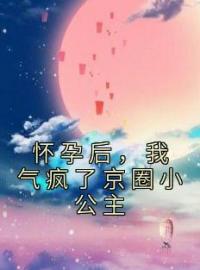 陆时莹陆琛小说章节目录 《怀孕后，我气疯了京圈小公主》全文阅读