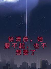 徐清彦，她要不起，也不想要了沈青禾徐清彦小说阅读_徐清彦，她要不起，也不想要了文本在线阅读