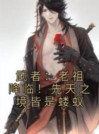 《武者：老祖降临！先天之境皆是蝼蚁》小说全文精彩章节在线阅读（季岑宁轻雪）