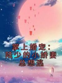 掌上婚宠：陆少的小娇妻总想逃孟柠陆牧全文在线免费试读
