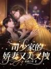 司少家的娇妻又美又拽