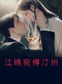 江晴宛傅汀州江晴宛傅汀州全本大结局阅读