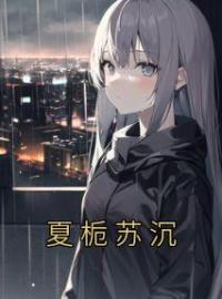 夏栀苏沉小说大结局在线阅读 《夏栀苏沉》小说免费试读