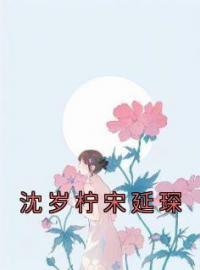 沈岁柠宋延琛完整版 沈岁柠宋延琛全章节阅读