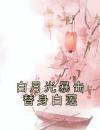白月光暴击替身白莲