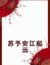 苏予安江起云