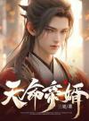 天命帝婿
