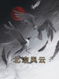 北凉风云小说全集免费在线阅读（徐天麟徐凤年）